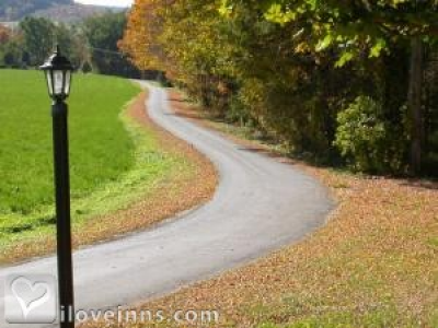 Pic 01