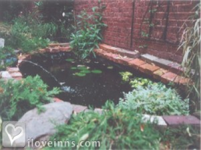 Pic 01