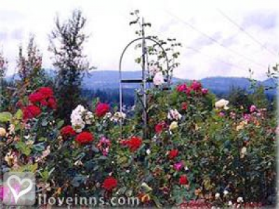 Pic 01