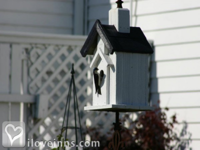 Pic 01