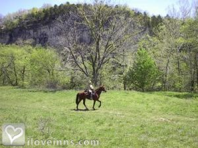 Pic 01