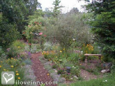 Pic 01