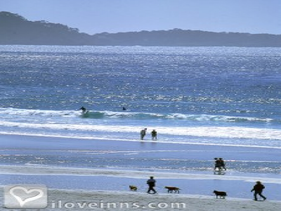 Pic 01
