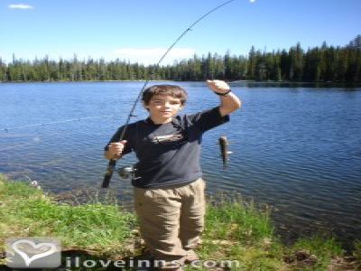Pic 01