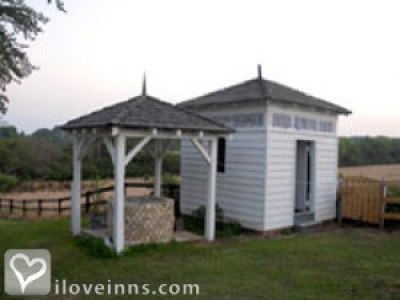 Pic 01