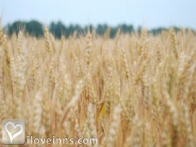 Pic 01