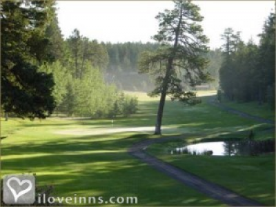 Pic 01