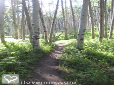 Pic 01