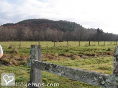 Pic 01