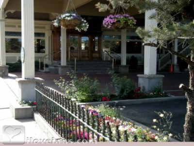 Pic 01