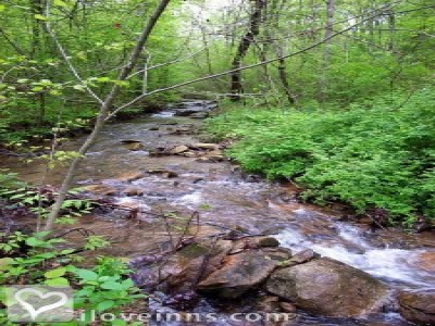 Pic 01