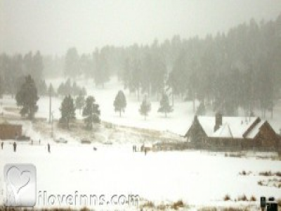 Pic 01