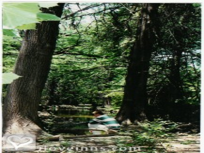 Pic 01
