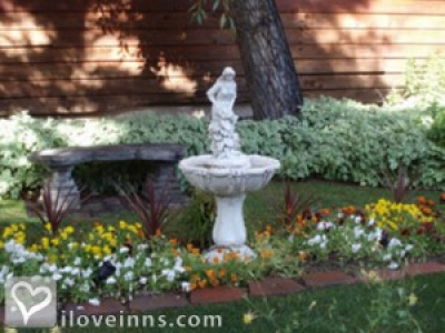 Pic 01