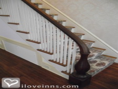 Pic 01
