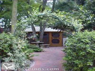 Pic 01