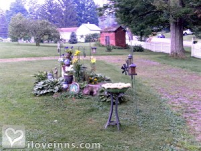 Pic 01