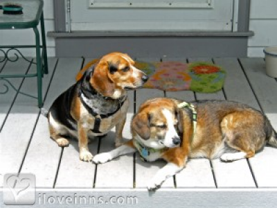 Pic 01