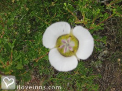 Pic 01