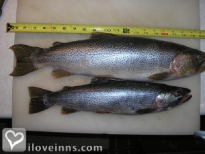 Pic 01
