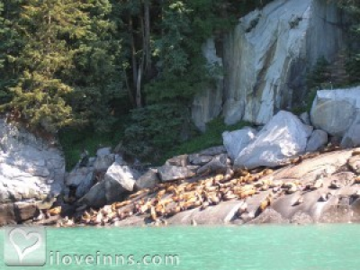 Pic 01