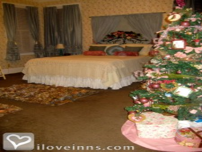 Pic 01