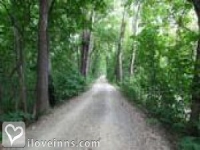 Pic 01
