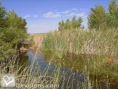 Pic 01