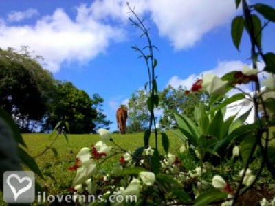 Pic 01