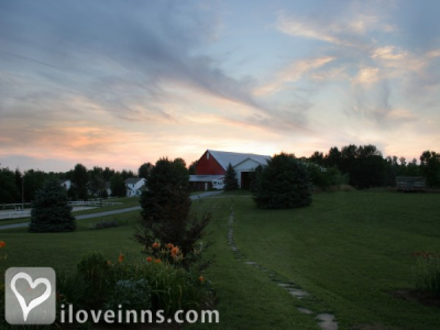 Pic 01