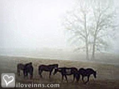 Pic 01