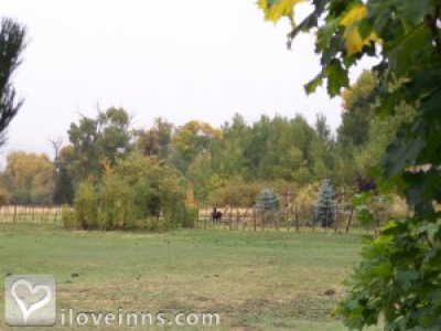 Pic 01