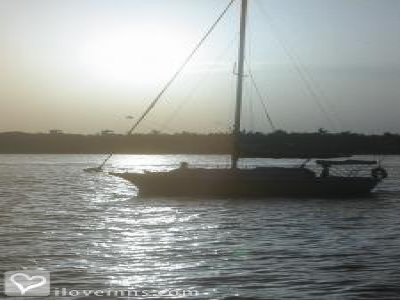 Pic 01