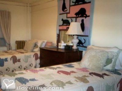 Pic 01