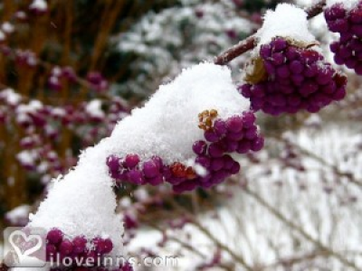 Pic 01
