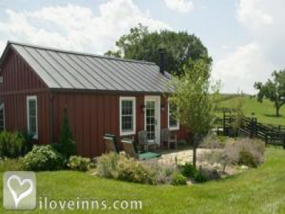 Pic 01