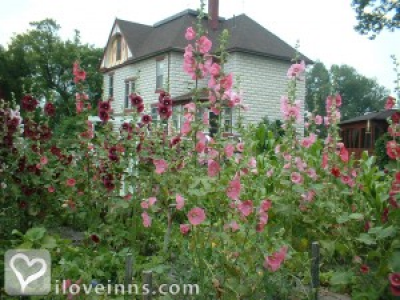 Pic 01
