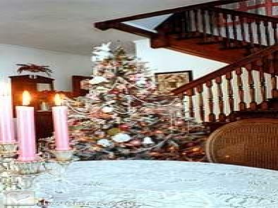 Pic 01