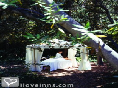 Pic 01