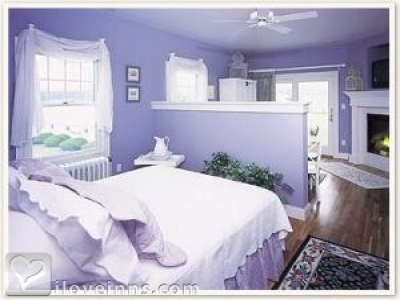 Pic 01