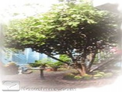 Pic 01