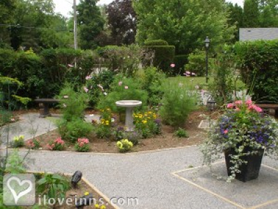 Pic 01