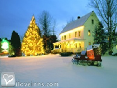 Pic 01