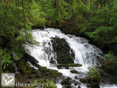 Pic 01
