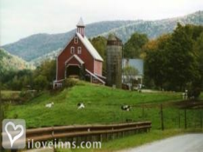 Pic 01