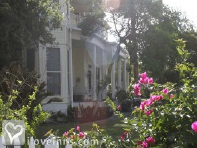 Pic 01