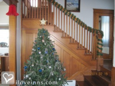 Pic 01