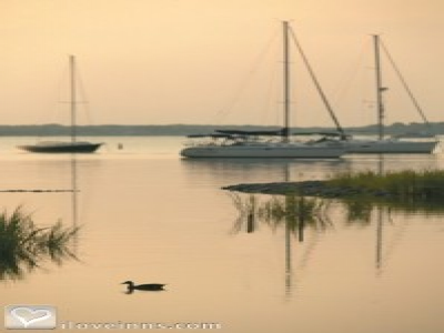 Pic 01