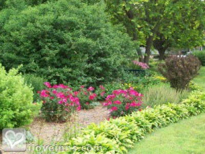 Pic 01