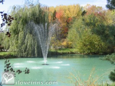 Pic 01